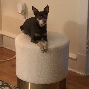 Fundraising Page: Patrice Moss